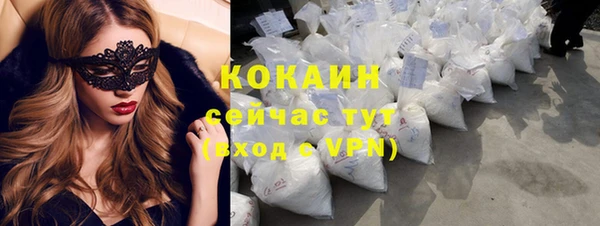 не бодяженный Алексин